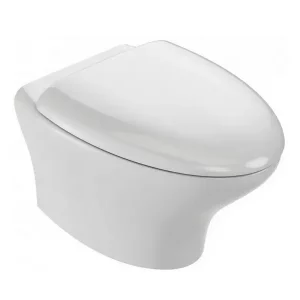 Унитаз подвесной Jacob Delafon Nouvelle Vague Rimless безободковый с сиденьем микролифт